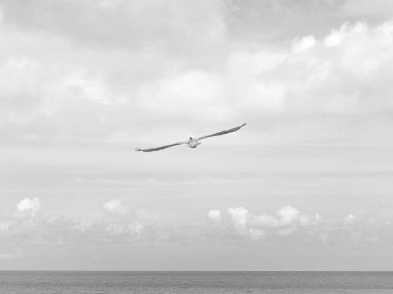 耳朵怀孕<br>ly8tfut.cn 耳机发烧友谈